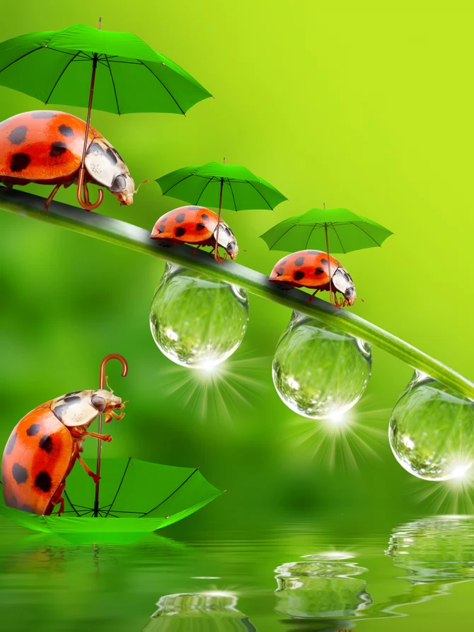 Платок женский двусторонний с принтом Арт-деко и бахромой